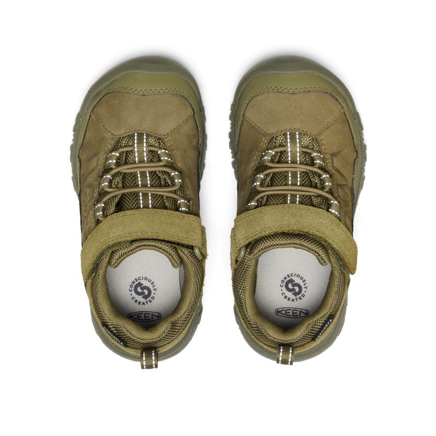 Little Kids' Targhee IV Waterproof Hiking Shoe Martini Olive