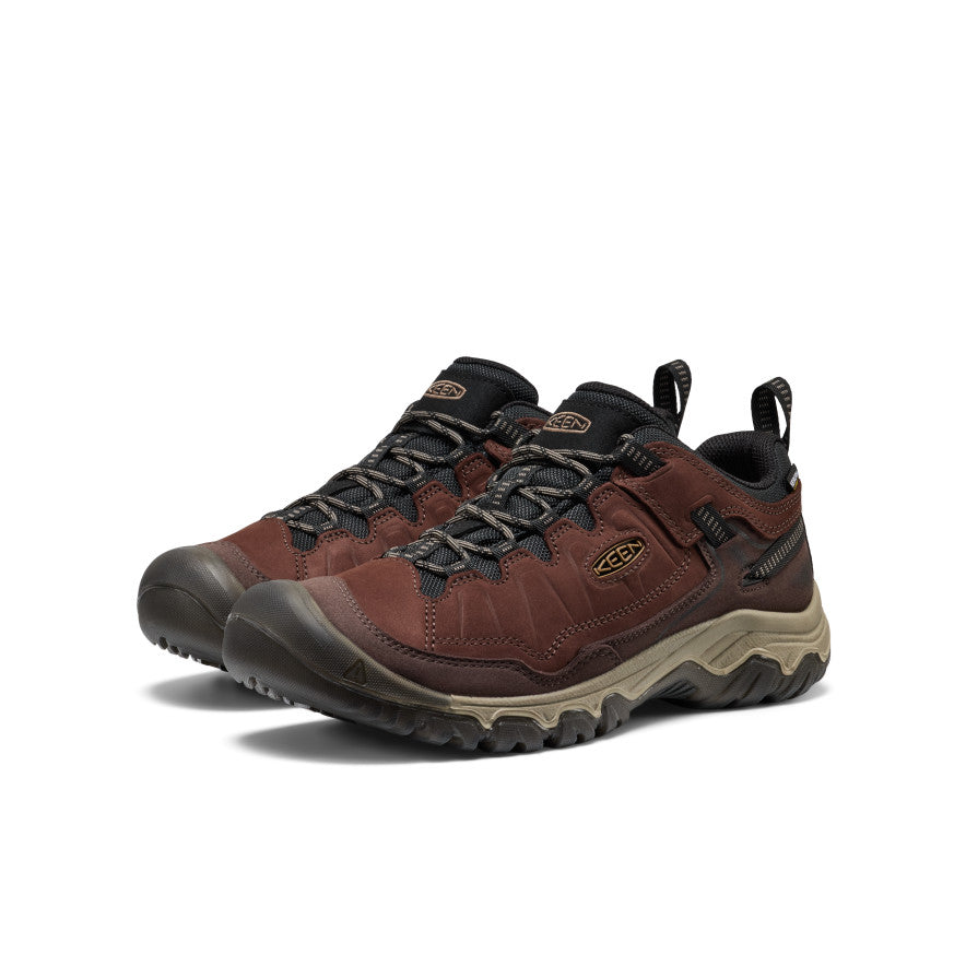 Men's Targhee IV Waterproof Hiking Shoe Java/Bison