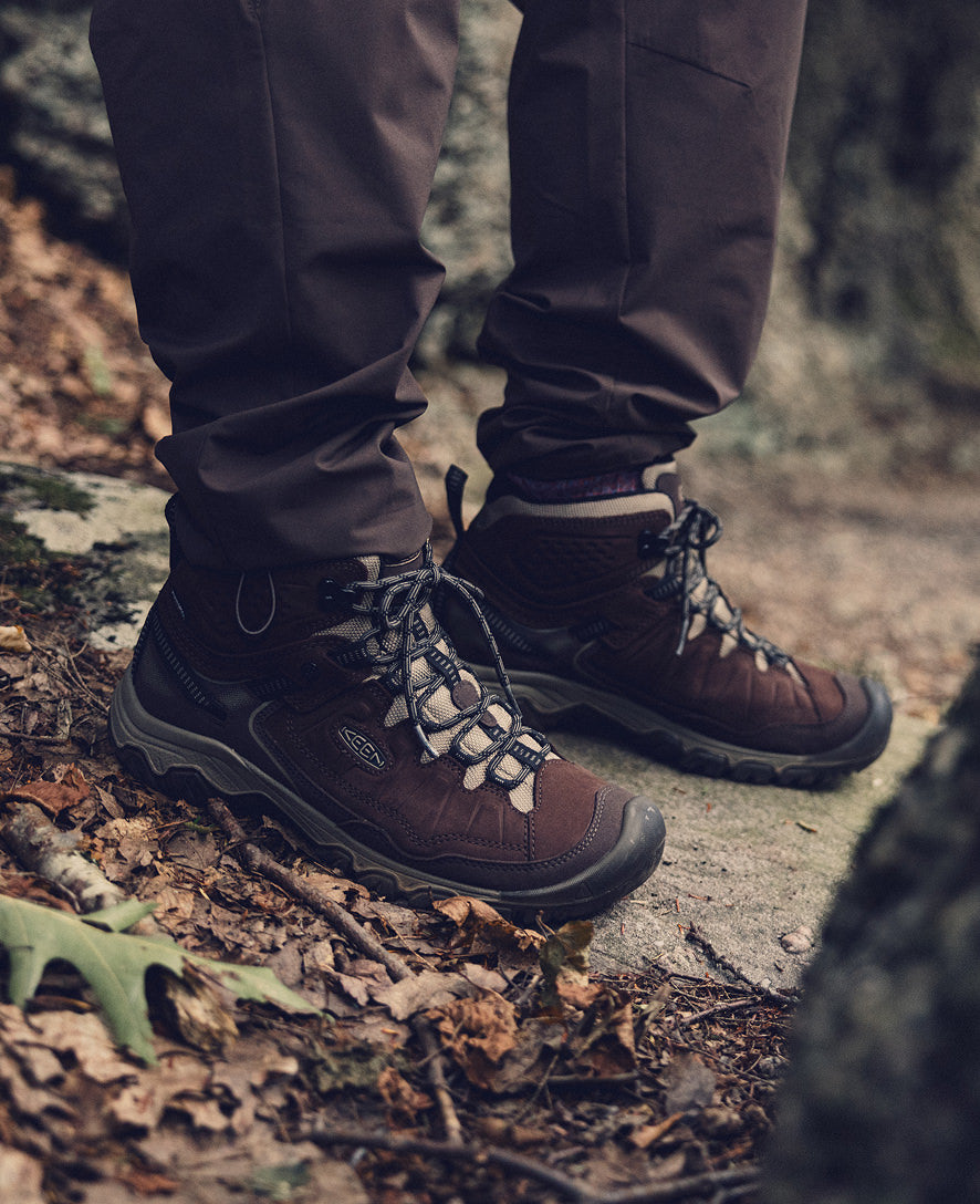 Men's Targhee IV Waterproof Hiking Boot Java/Brindle