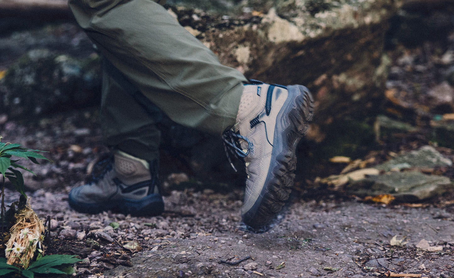 Women's Targhee IV Waterproof Hiking Boot Steel Grey/Lily Pad