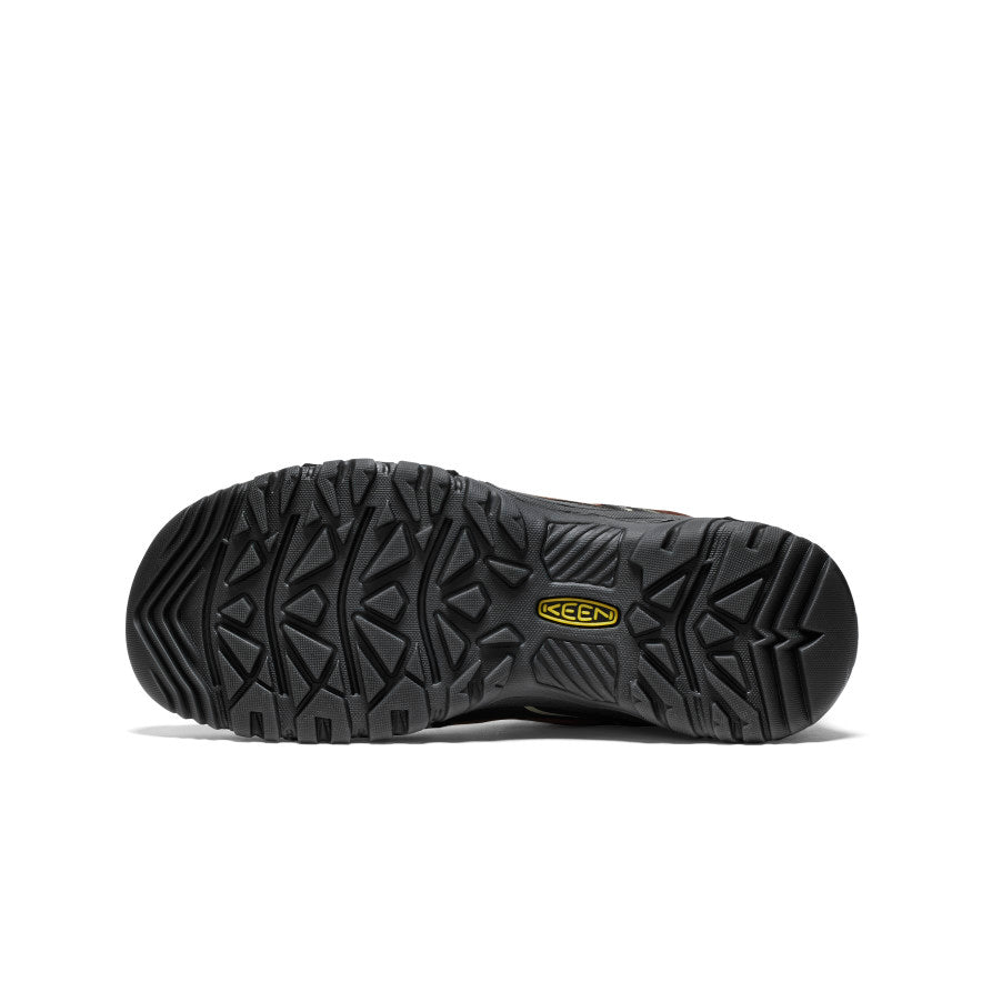 Men's Targhee IV Waterproof Hiking Shoe Bison/Black