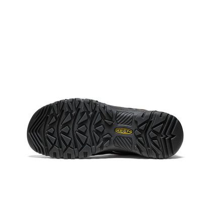 Men's Targhee IV Waterproof Hiking Shoe Bison/Black