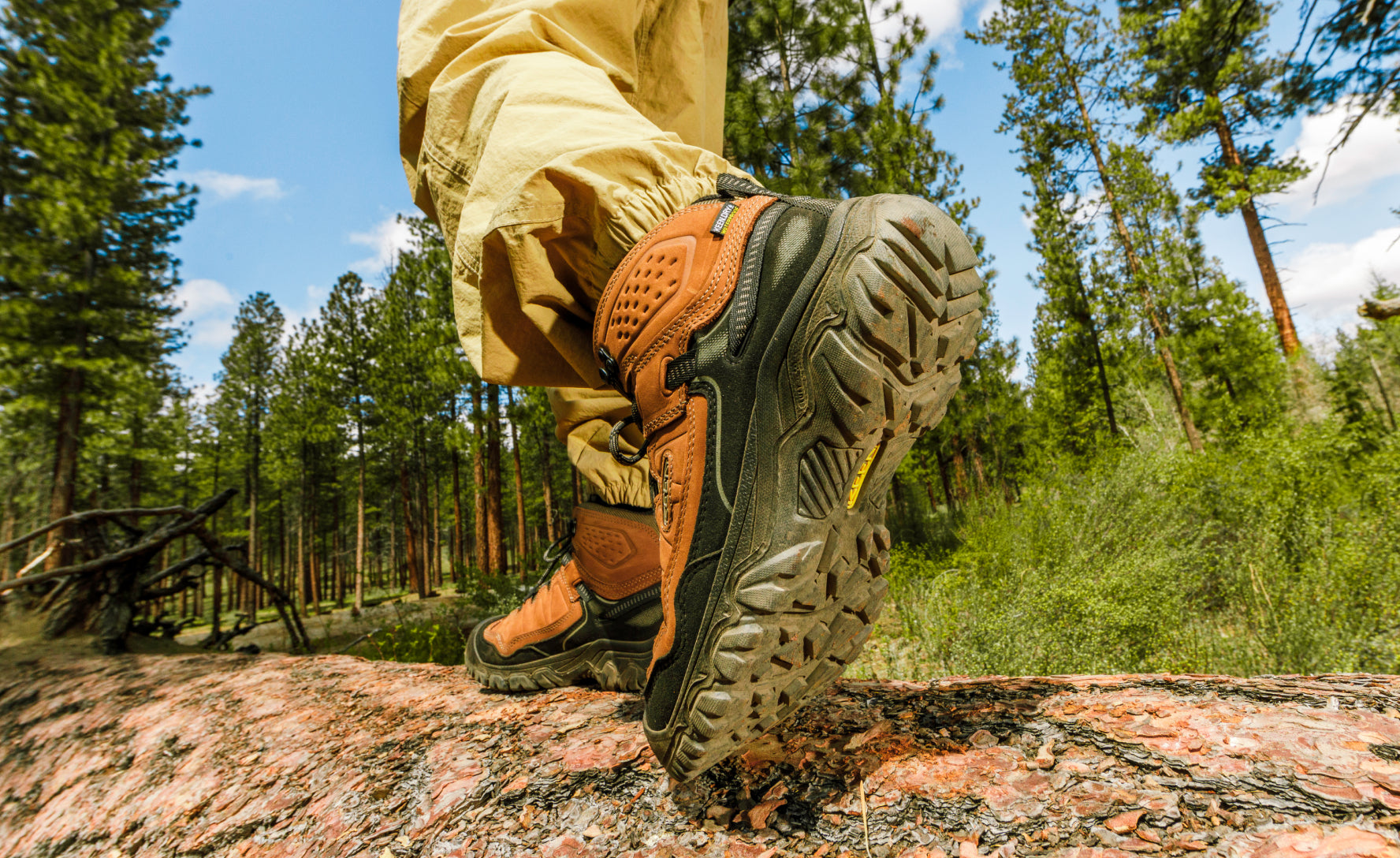 Men's Targhee IV Wide Waterproof Hiking Boot Bison/Black