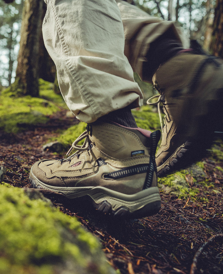 Women's Targhee IV Wide Waterproof Hiking Boot Brindle/Nostalgia Rose
