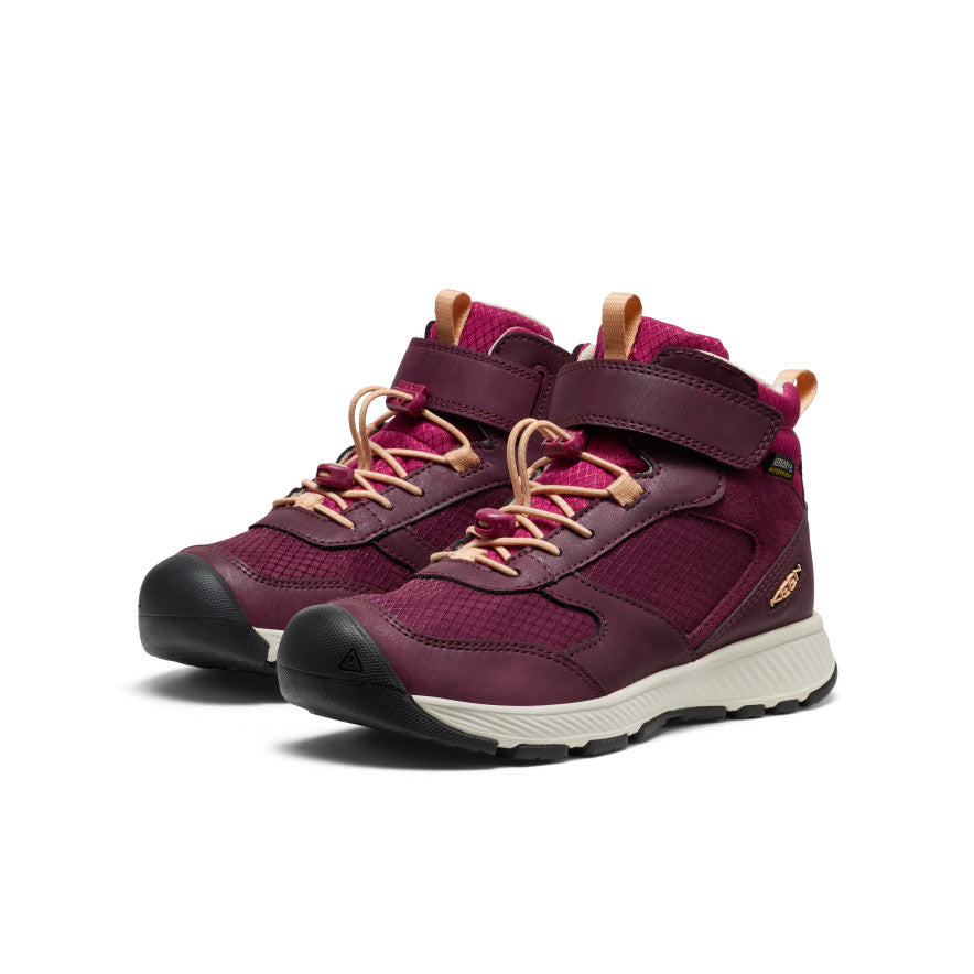 Big Kids' Skua Waterproof Boot Fig/Peach Fuzz