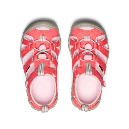 Little Kids' Seacamp II CNX Dubarry/Giggle Pink